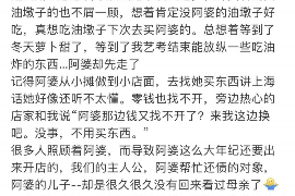 岳西岳西的要账公司在催收过程中的策略和技巧有哪些？